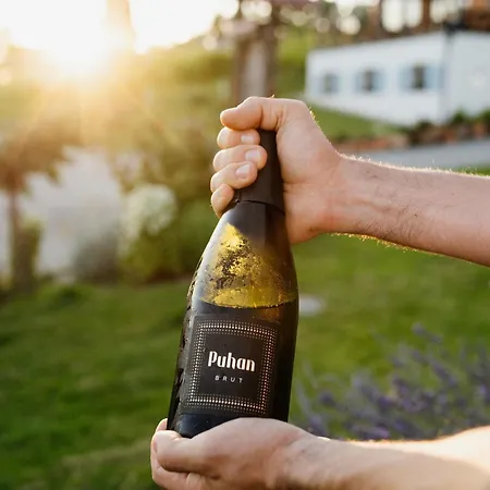 Puhan Wine Estate & Boutique Bed & Breakfast