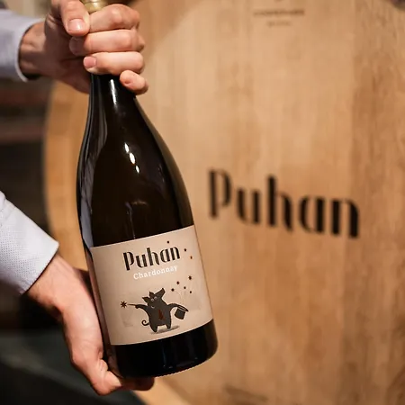 Puhan Wine Estate & Boutique Bed & Breakfast Bogojina